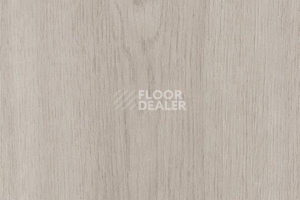 Виниловая плитка ПВХ FORBO Allura Decibel 8WSM01-3WSM01 smoke smooth oak фото 1 | FLOORDEALER